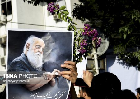 تحلیل یک جامعه‌شناس از هیاهوی بعد از درگذشت «سایه»