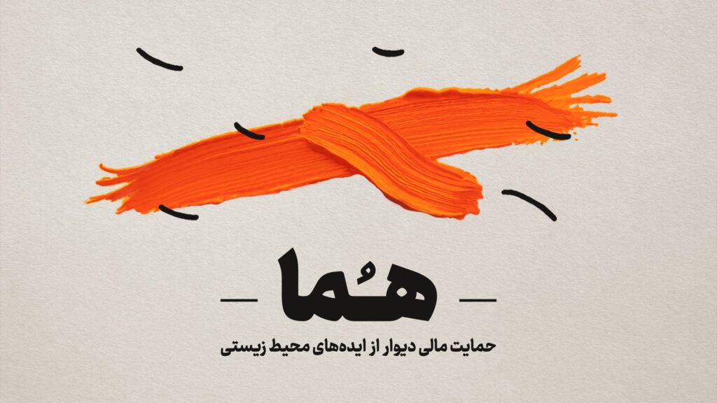 از گرنت‌های جهانی تا «هما»: چرا حمایت مالی از محیط زیست مهم است؟